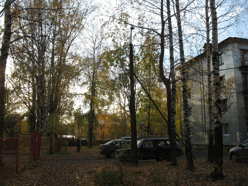 Сыктывкар 2015 - ул. Оплеснина