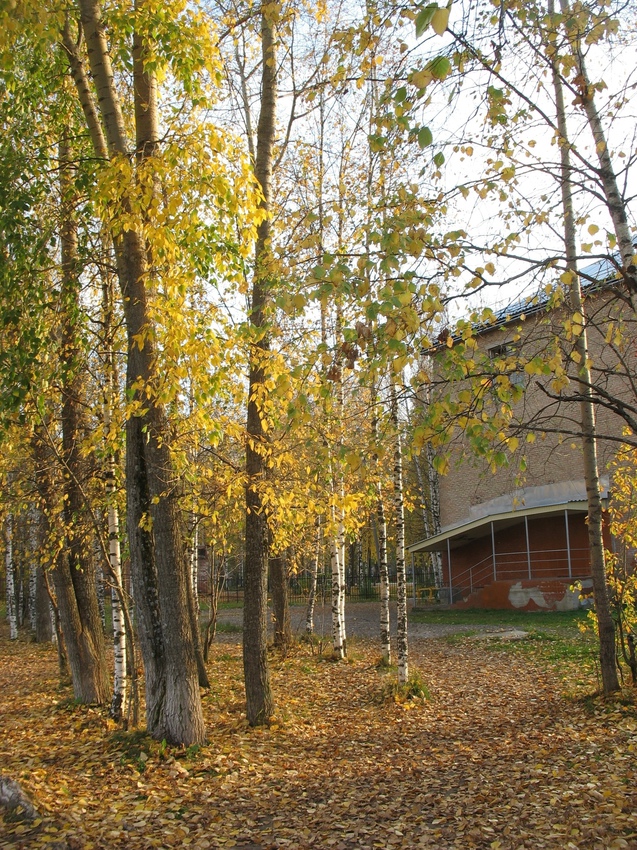 Сыктывкар 2015 - школа 1