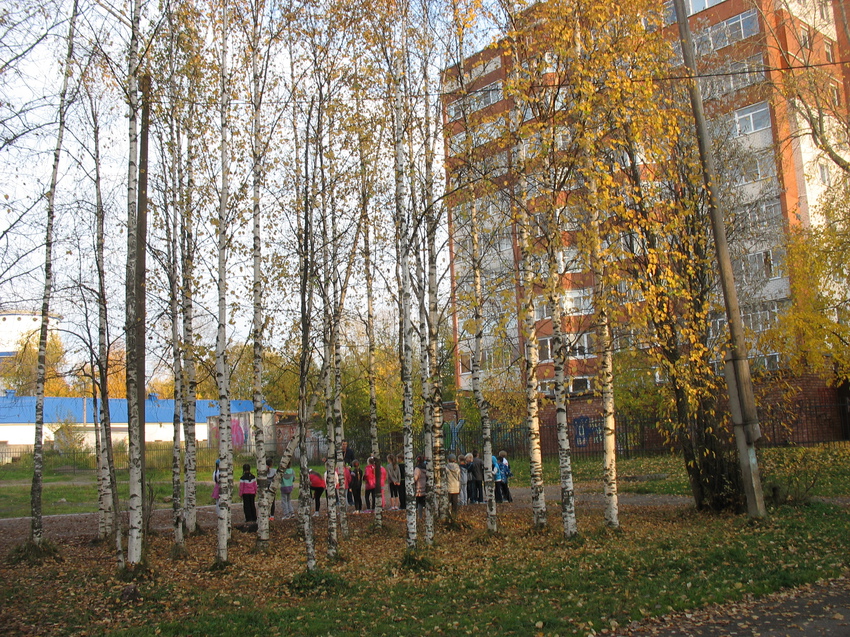 Сыктывкар 2015 - у школы 1