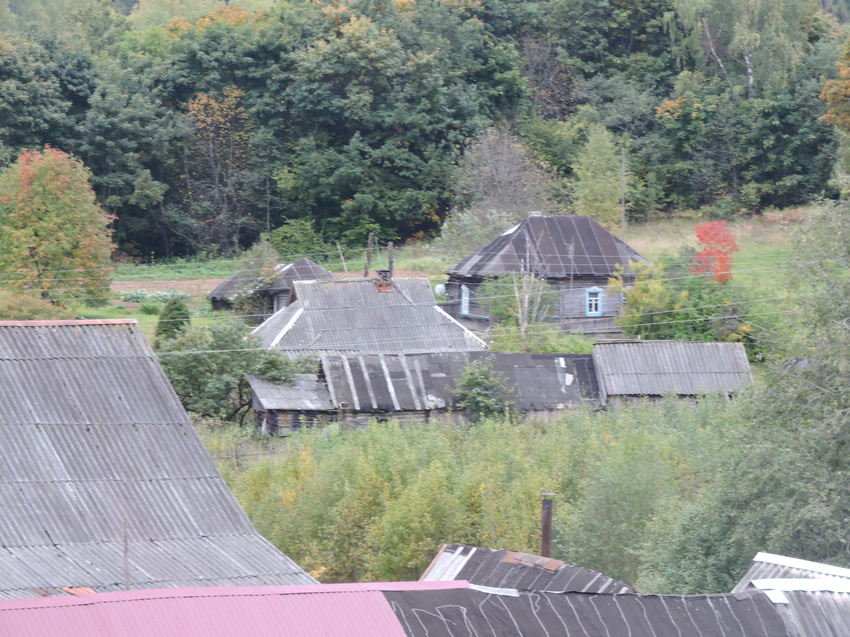 Вид на деревню Бор