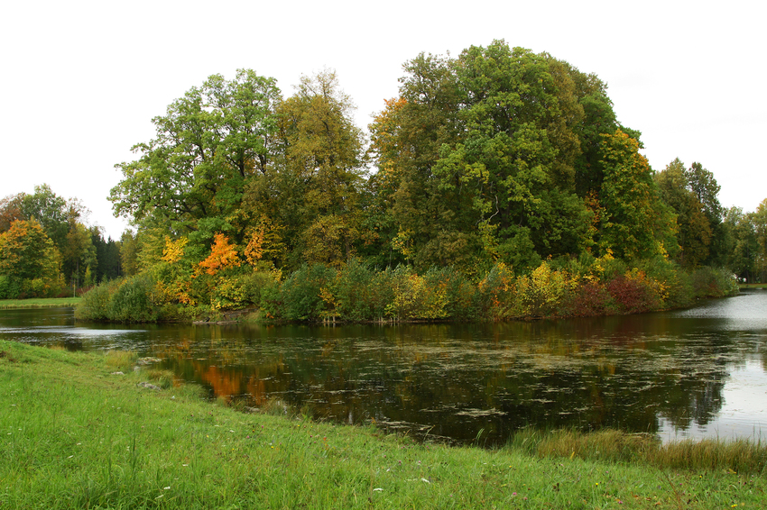 Павловский парк