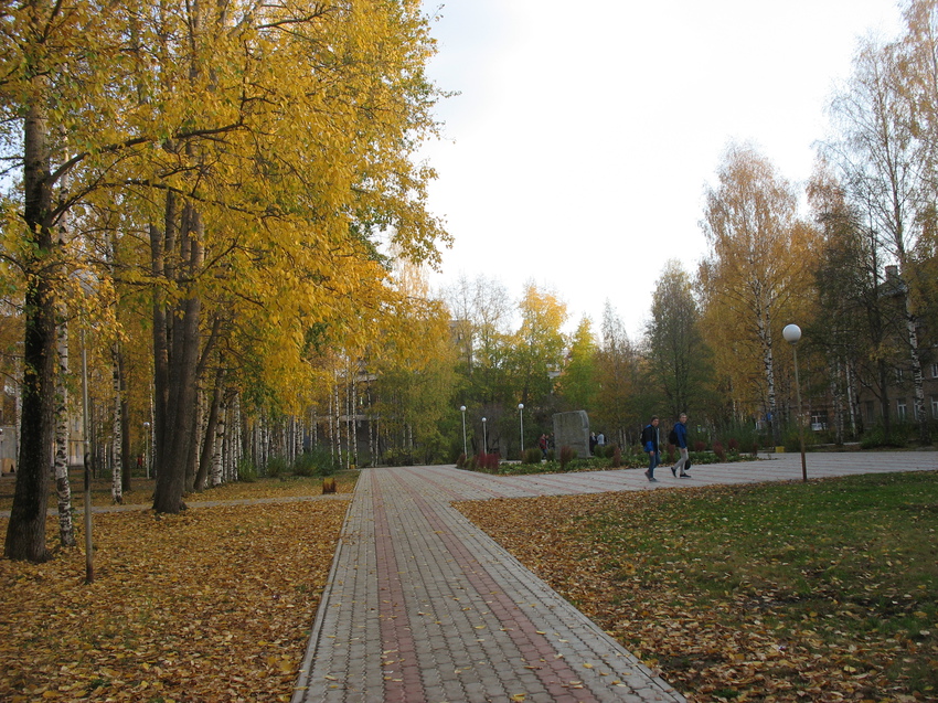 Сыктывкар 2015