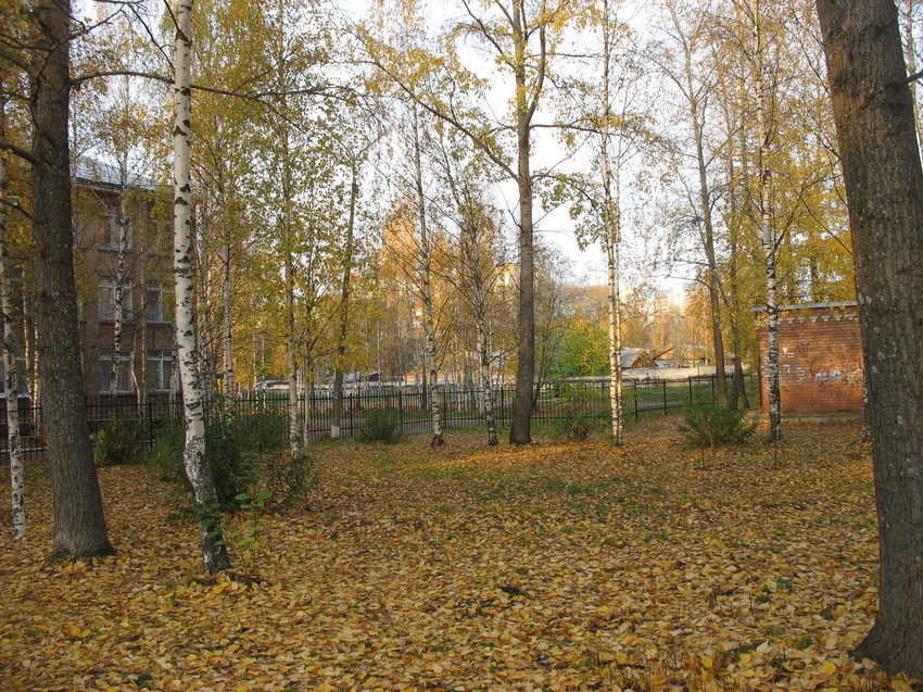 Сыктывкар 2015