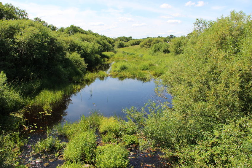 деревня старые буриги
