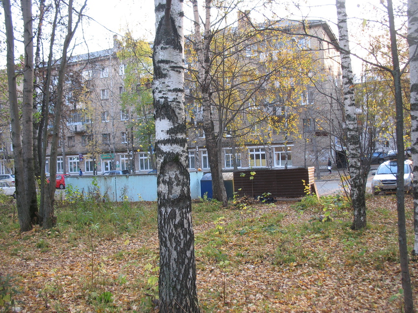 Сыктывкар 2015