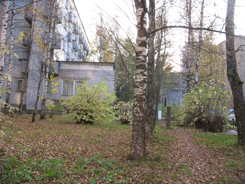 Сыктывкар 2015