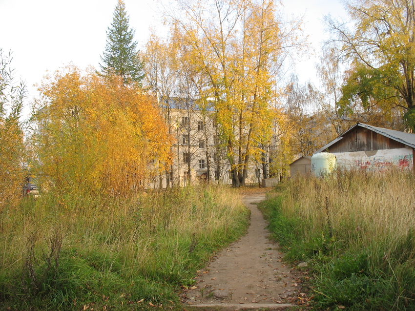 Сыктывкар 2015