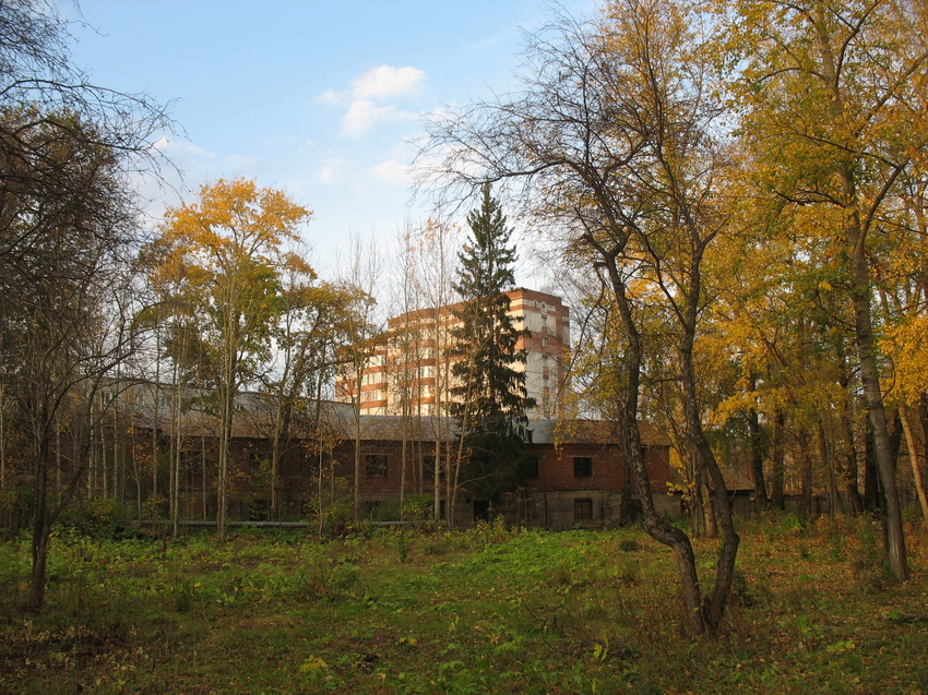 Сыктывкар 2015