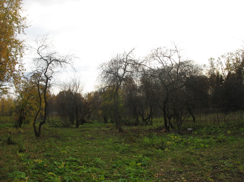 Сыктывкар 2015 - ботанический сад