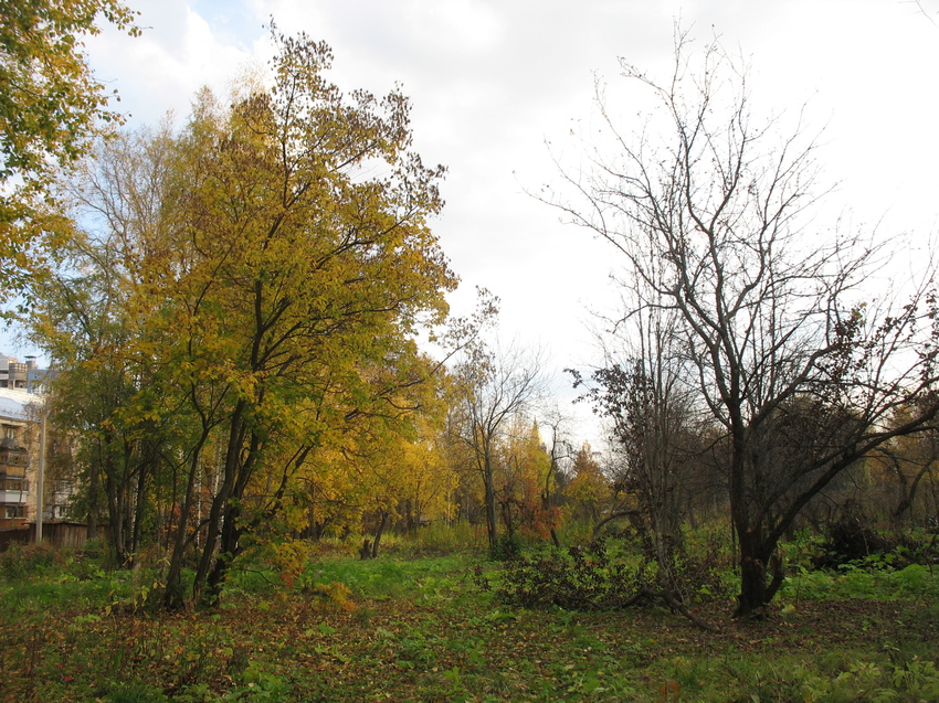 Сыктывкар 2015 - ботанический сад