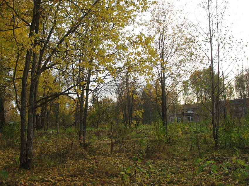 Сыктывкар 2015 - ботанический сад