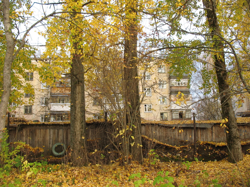 Сыктывкар 2015