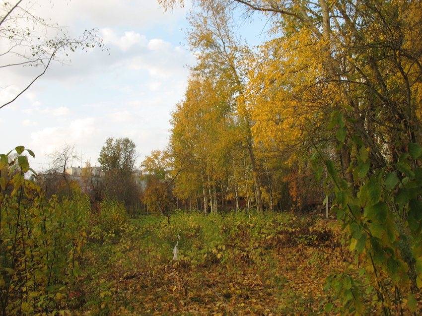 Сыктывкар 2015 - ботанический сад