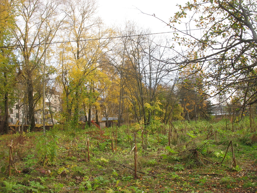 Сыктывкар 2015 - ботанический сад