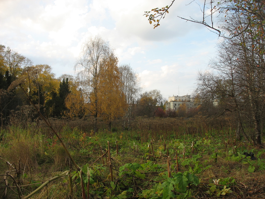 Сыктывкар 2015 - ботанический сад