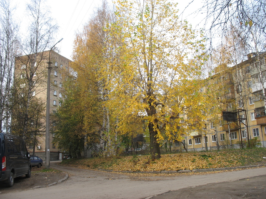 Сыктывкар 2015 - Октябрьский проспект