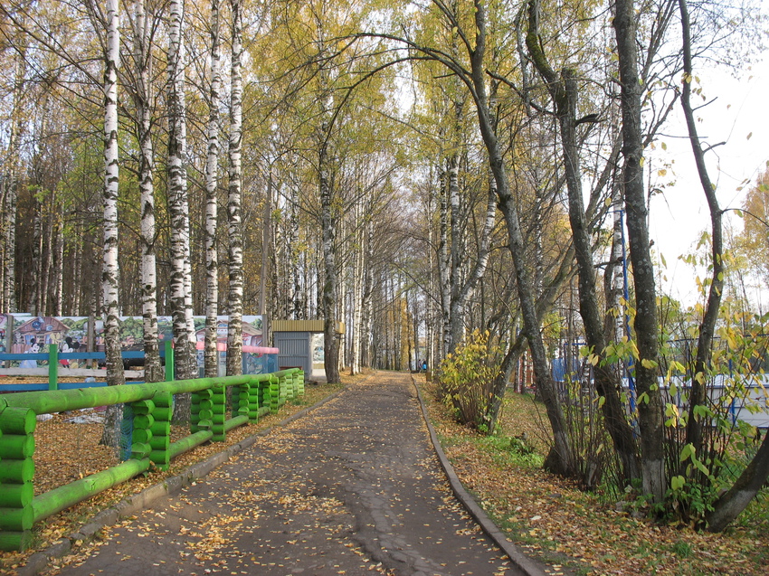 Бэсти парк сыктывкар. Рпарк Мичуринский парк. Сыктывкар парк. Каток Сыктывкар Мичуринский парк. Достопримечательности Сыктывкара Мичуринский парк.