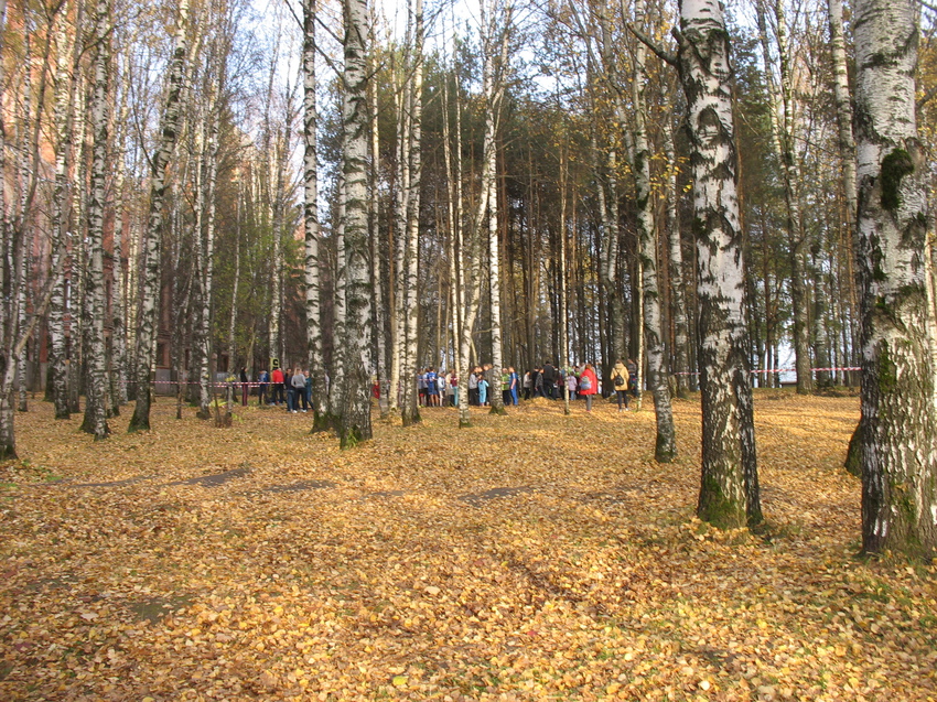 Сыктывкар 2015 - Мичуринский парк