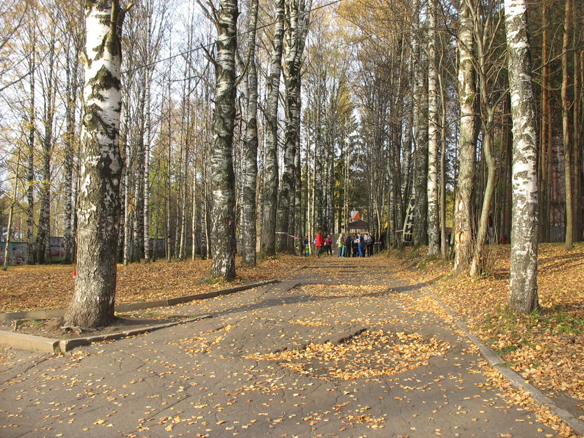 Сыктывкар 2015 - Мичуринский парк