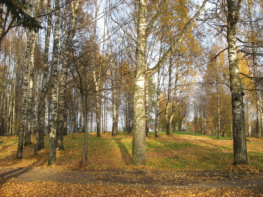 Сыктывкар 2015 - Мичуринский парк