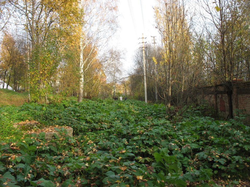 Сыктывкар 2015 - Мичуринский парк