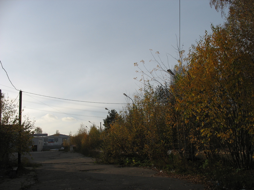 Сыктывкар 2015