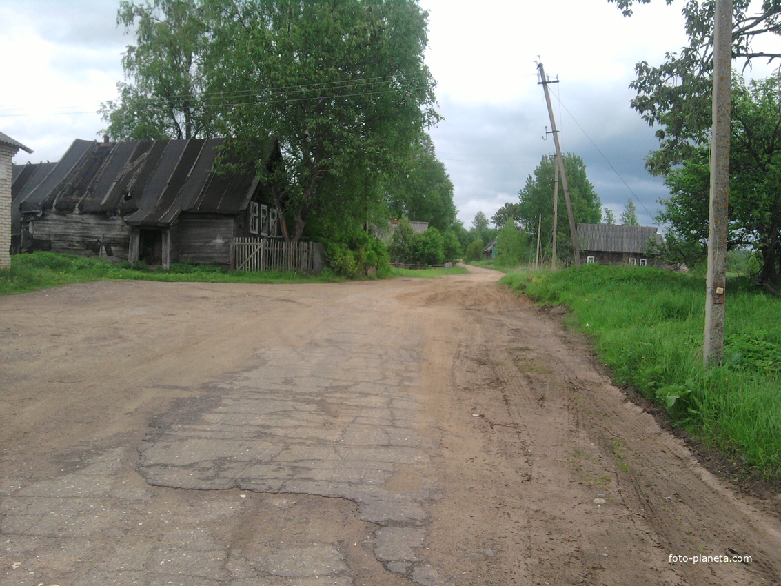 деревня  Падбережье (Налески) Валдайского  района, недалеко  от  Лутовёнки
