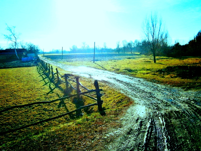 Циганка. Слева от моста по ходу в ценр села Великая Павловка. Автор: Николай Нехан