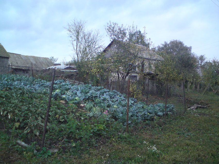 Кубань. Начало октября