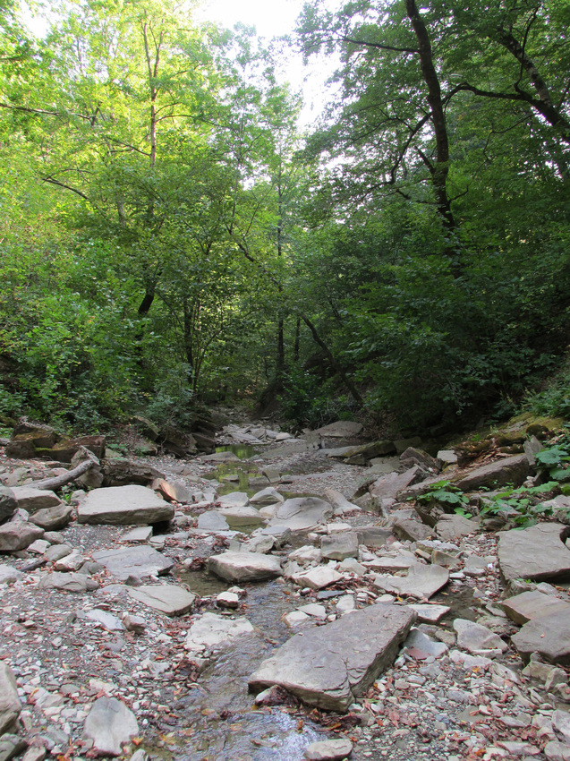 Природа поселка Новомихайловский