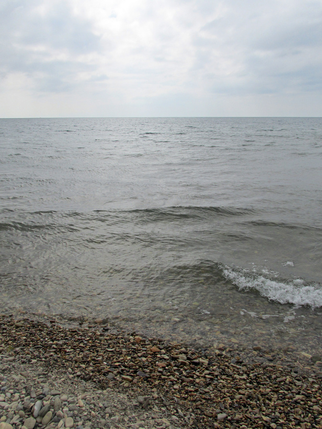 Природа поселка Новомихайловский