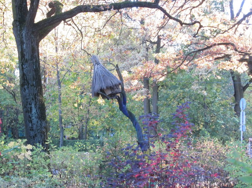 Пушкин, Широкая улица