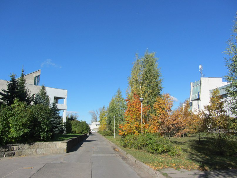 ш. Подбельского, Пушкин