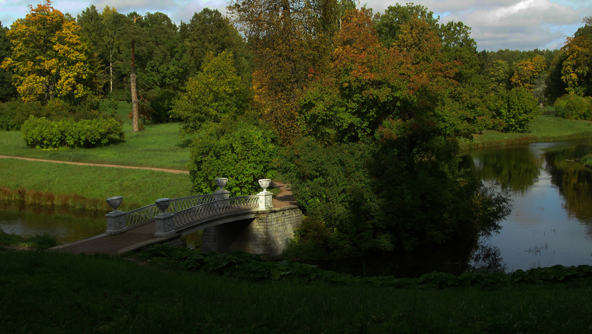 Вид в парке