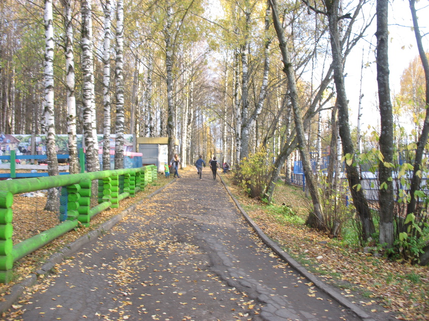 Мичуринский парк сыктывкар карта