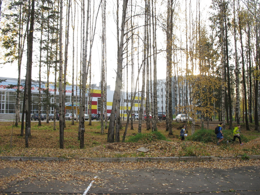 Сыктывкар 2015 - Мичуринский парк