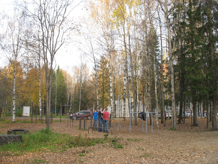 Сыктывкар 2015 - Мичуринский парк