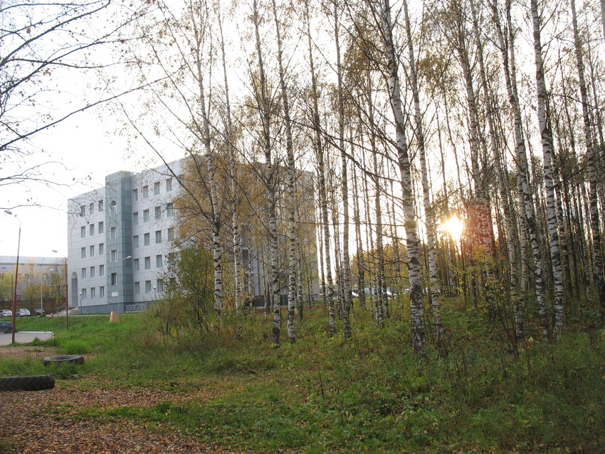 Сыктывкар 2015 - Мичуринский парк