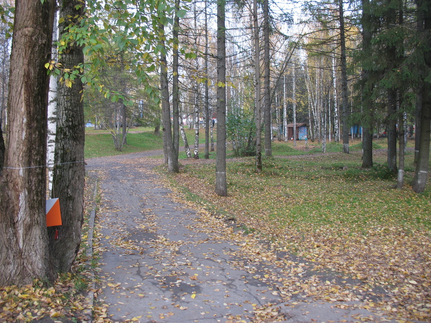 Сыктывкар 2015 - Мичуринский парк