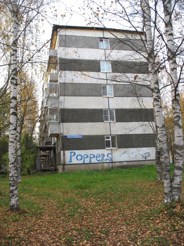 Сыктывкар 2015 - Мичуринский парк