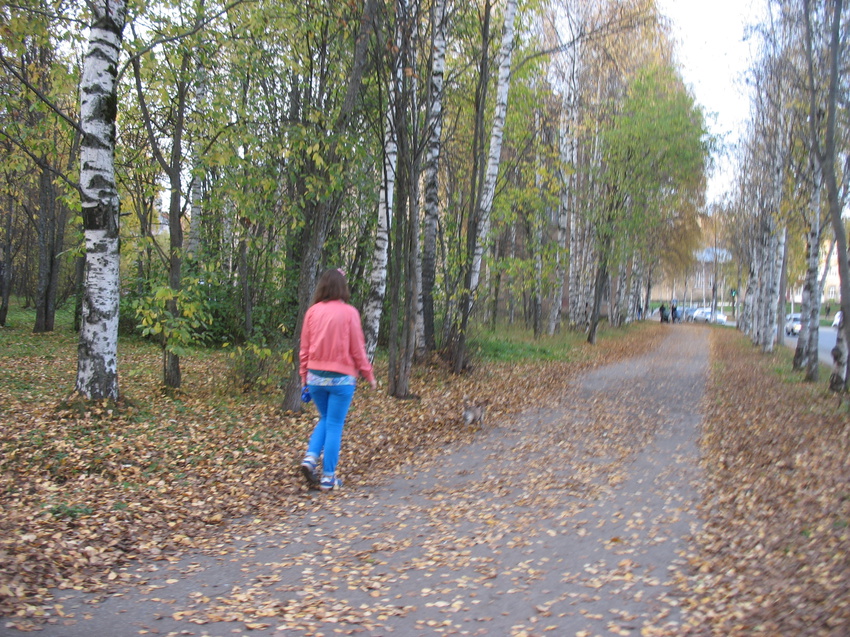 Сыктывкар 2015