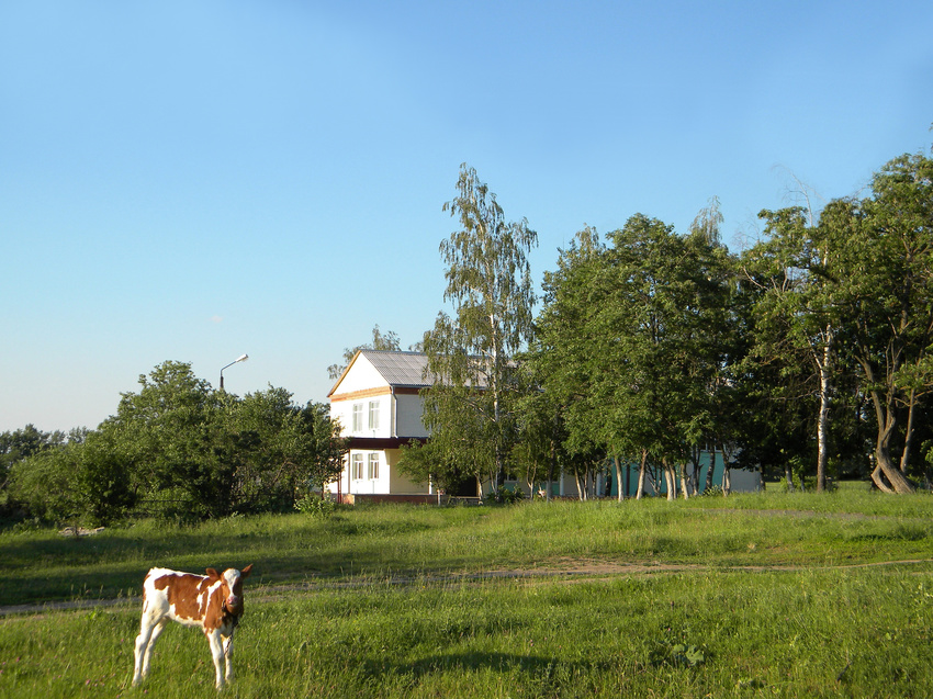 Облик села Мазикино