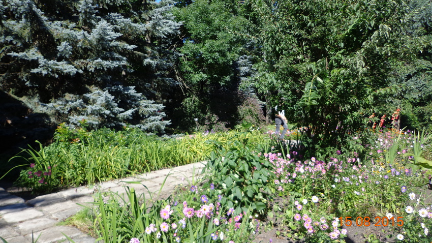 Парк музея.