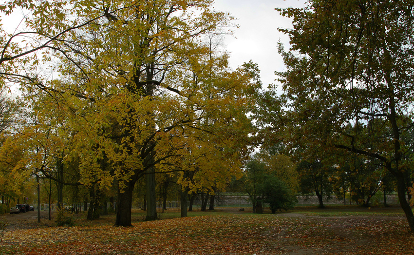 Фермский парк