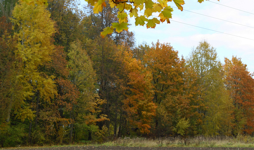 Нижний парк