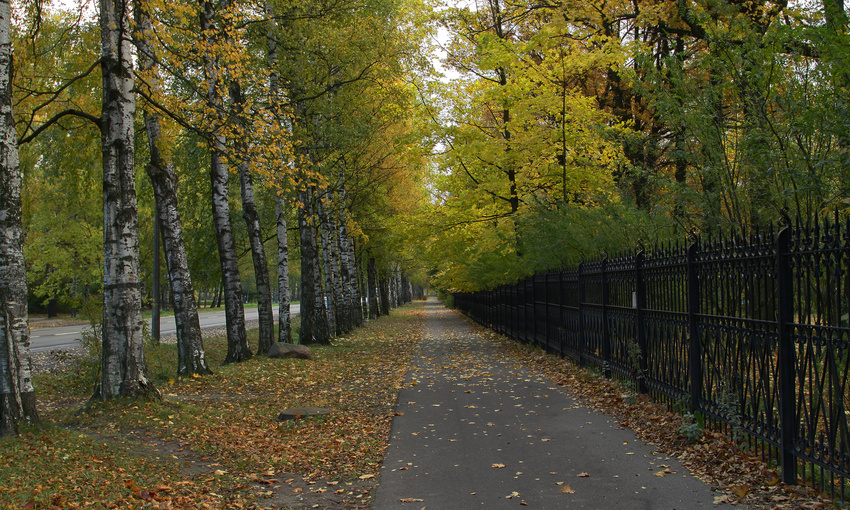 Пешеходная дорожка на Московском шоссе