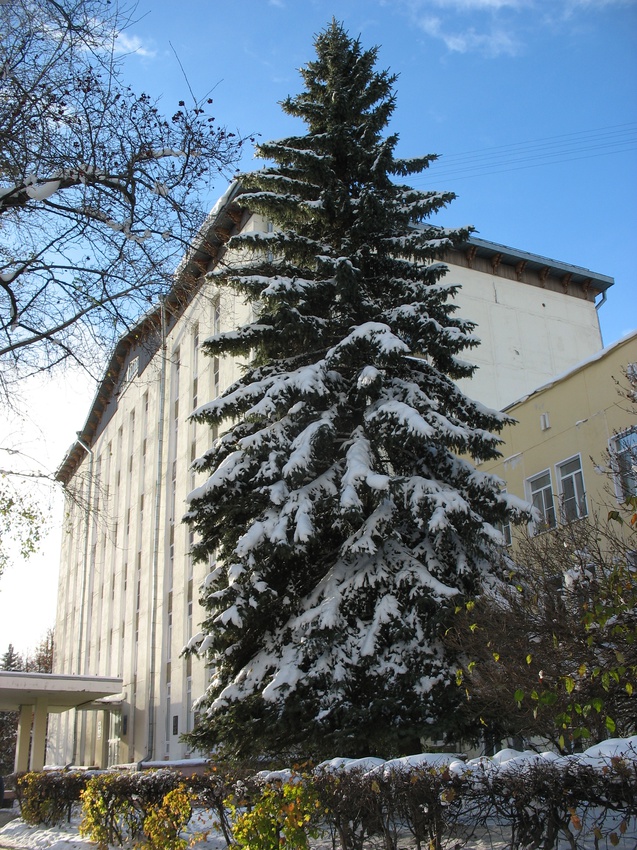 Сыктывкар 2015