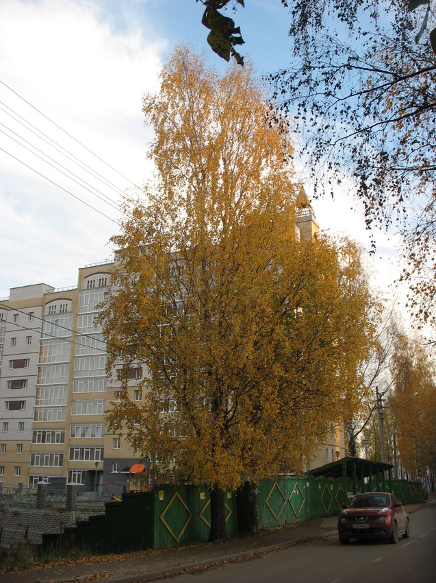 Сыктывкар 2015 - ул. Карла Маркса