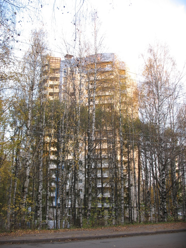 Сыктывкар 2015 - ул. Карла Маркса