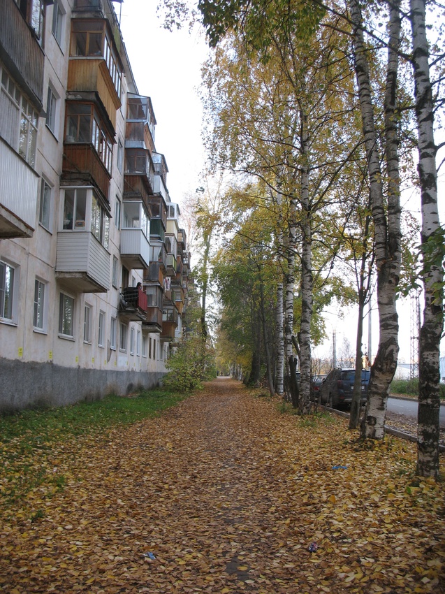 Сыктывкар 2015 - ул. Карла Маркса